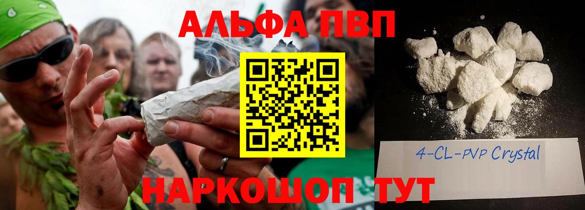 APVP СК Коряжма