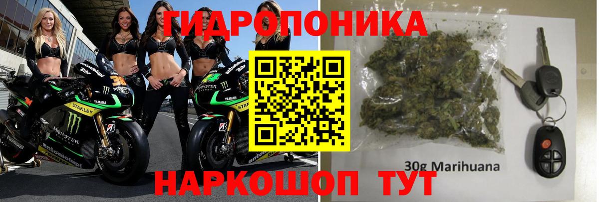 Конопля ГИДРОПОН  Шишки марихуана LSD WEED  Марихуана семена  Вход с VPN  Марихуана конопля  Коряжма 